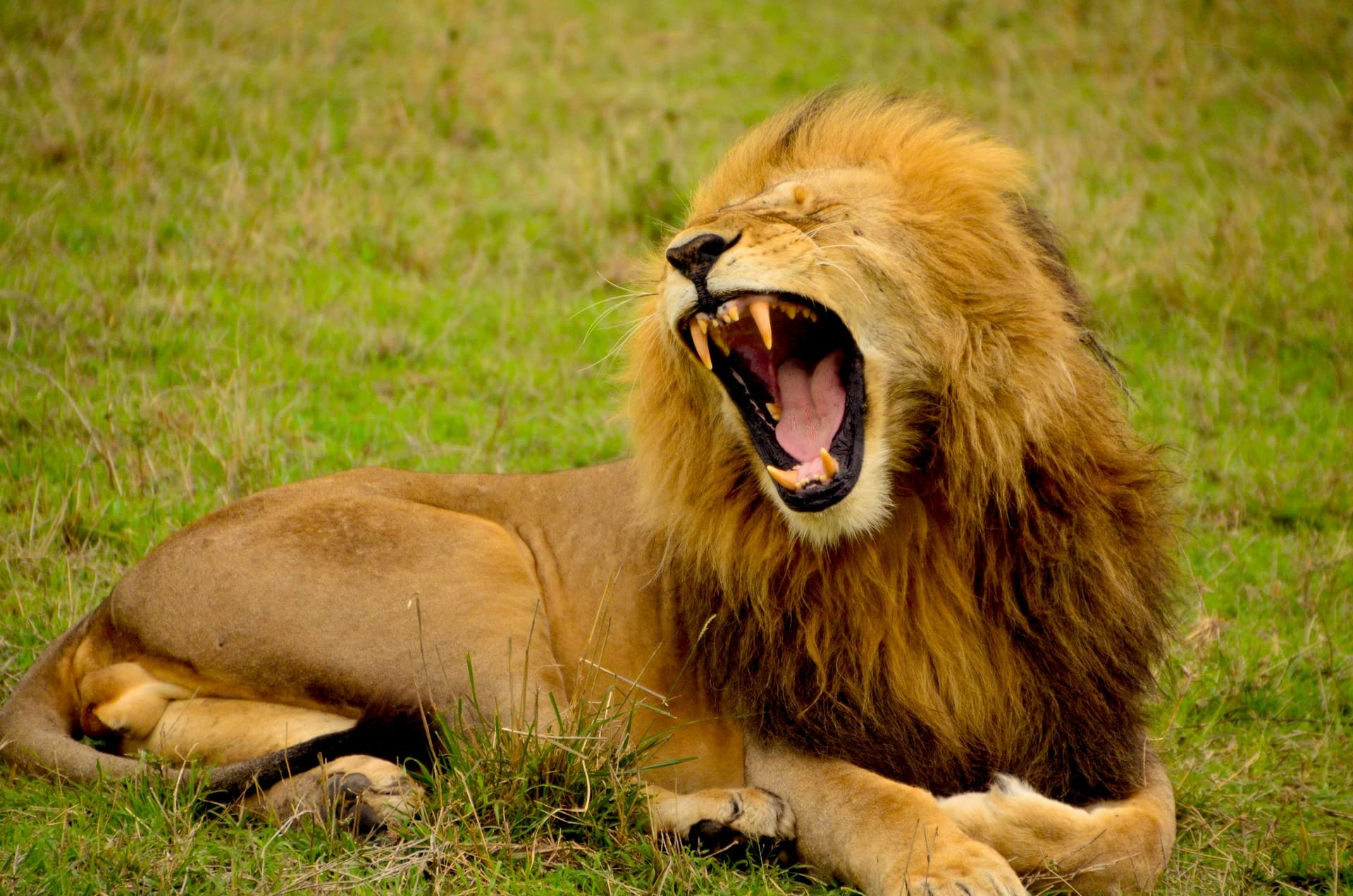 Discover Tanzania