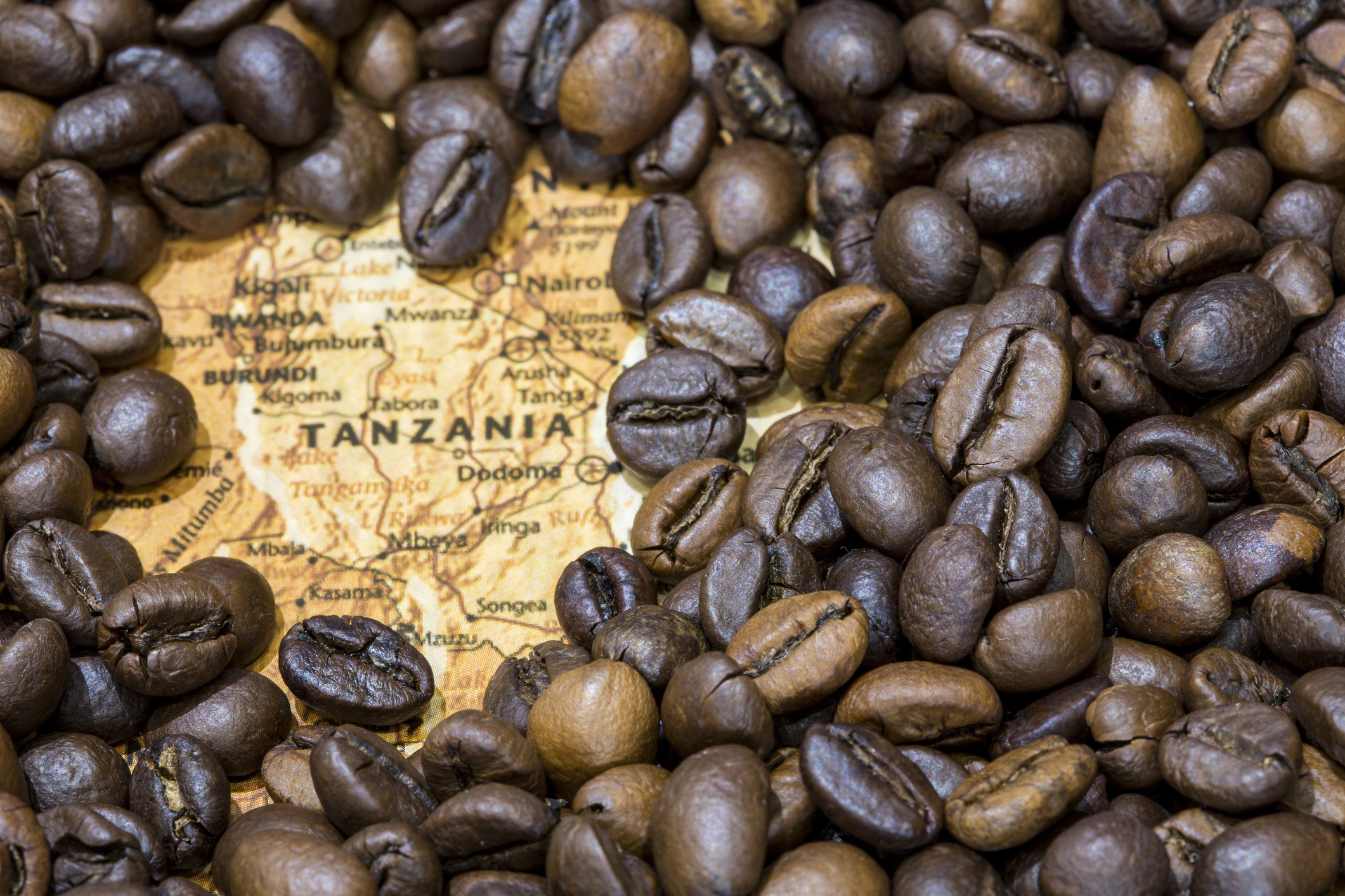 Beyond the Safari: A Taste of Tanzania’s Agricultural Heart