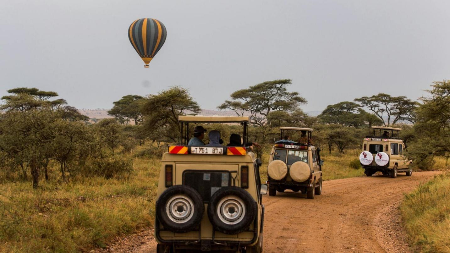 Safari Scares & Medical Miles: Why Tanzania Travel Insurance is Non-Negotiable (Beyond Basic Coverage & New Realities)